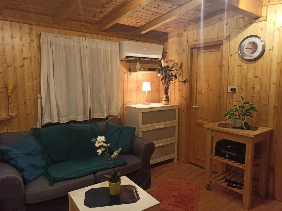 Вілла Chalet Seaesta Comfort Lago Di Lugano Порлецца Екстер'єр фото